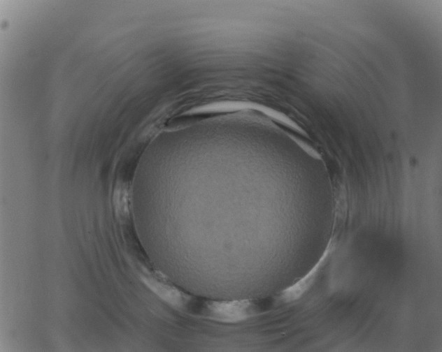 X0000062830191200601201622