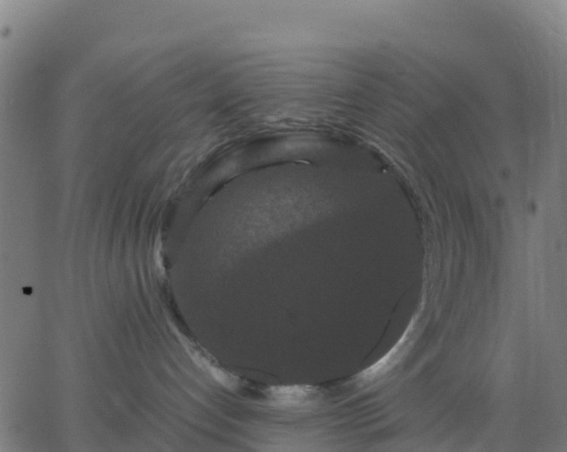 X0000062830192200601201622