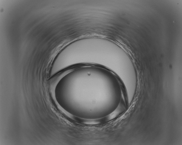 X0000062830193200601201621