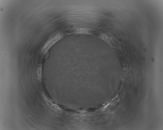 X0000062830194200601201621