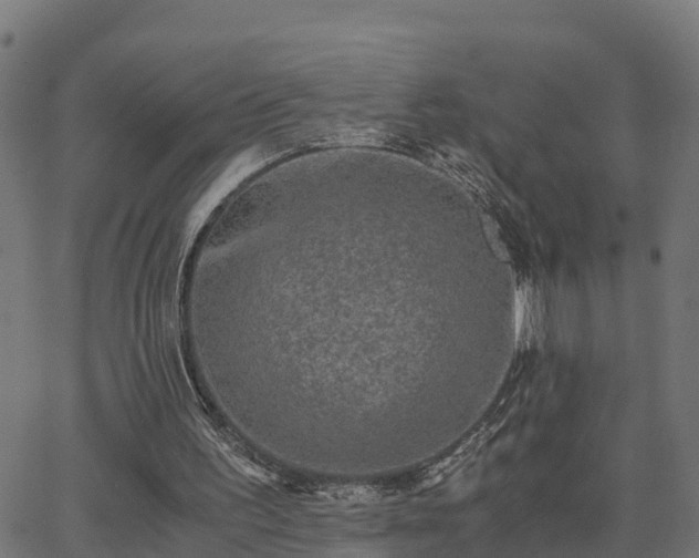 X0000062830195200601201621