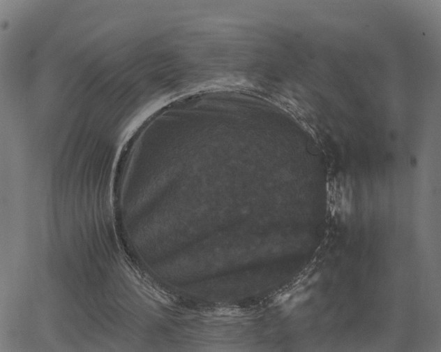 X0000062830196200601201621