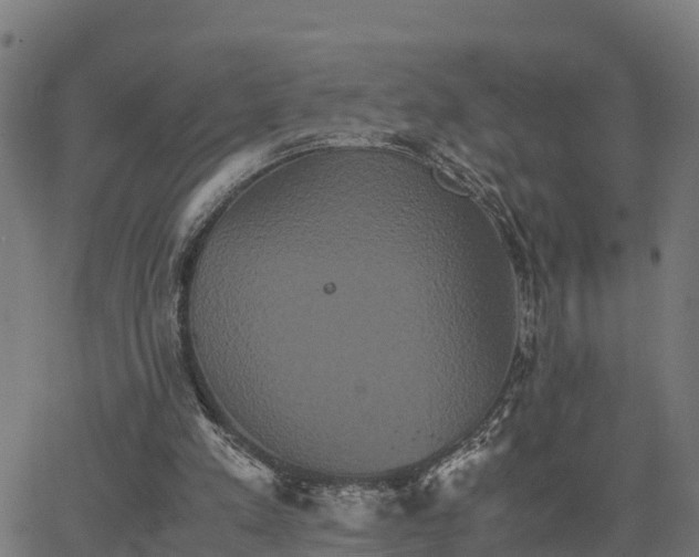 X0000062830197200601201621