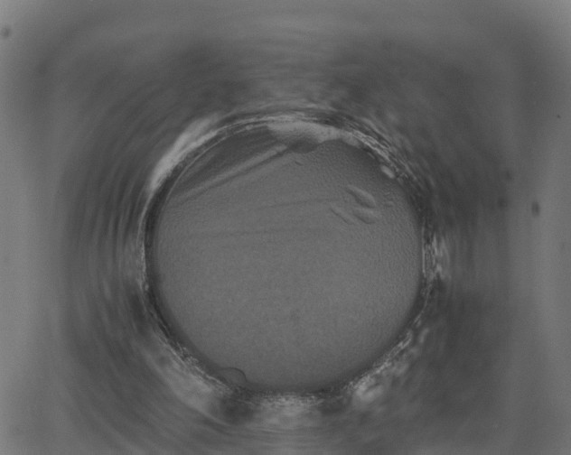 X0000062830198200601201621