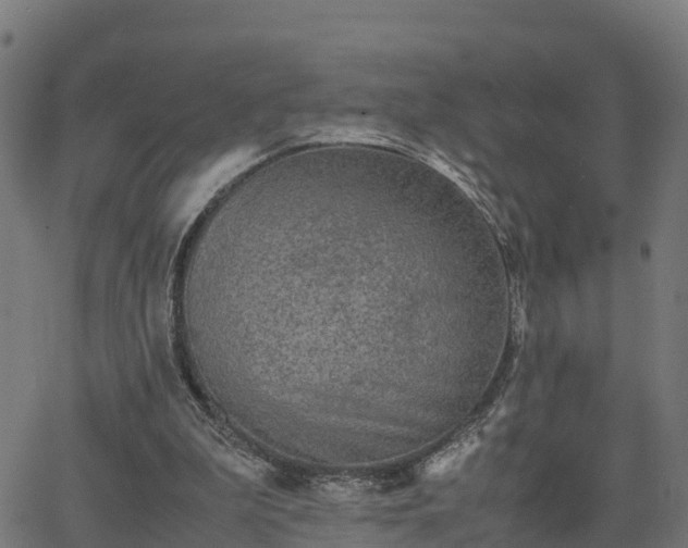 X0000062830199200601201621