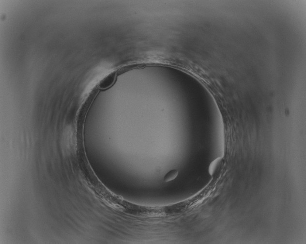 X0000062830200200601201621