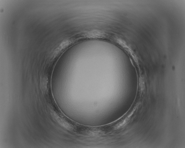 X0000062830201200601201621