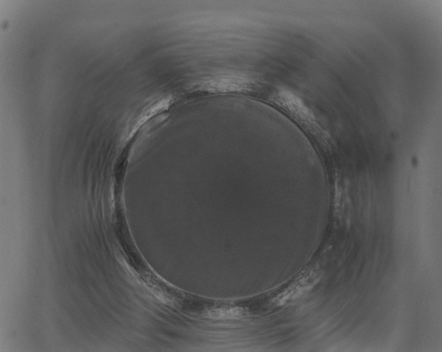 X0000062830202200601201621