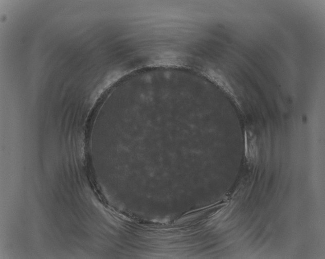 X0000062830204200601201621