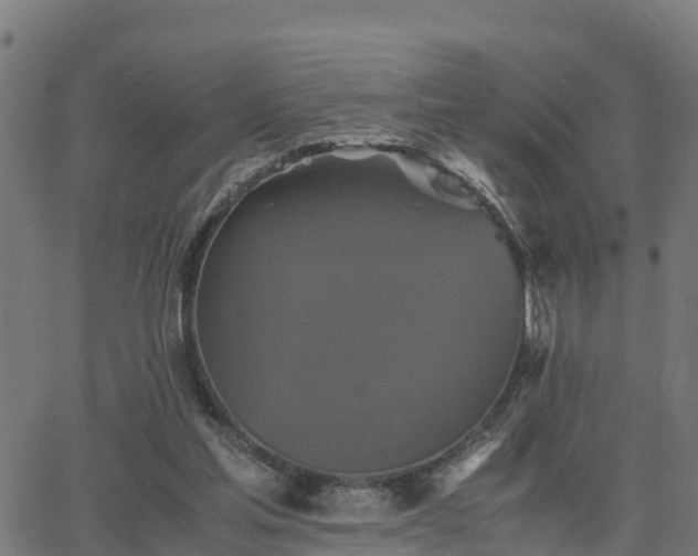 X0000062830205200601201621