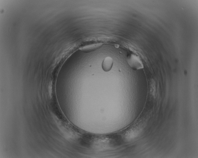 X0000062830206200601201621