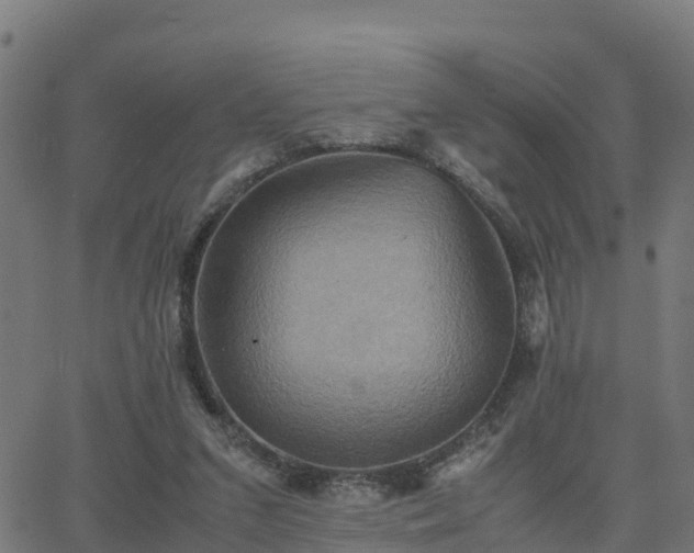 X0000062830207200601201621