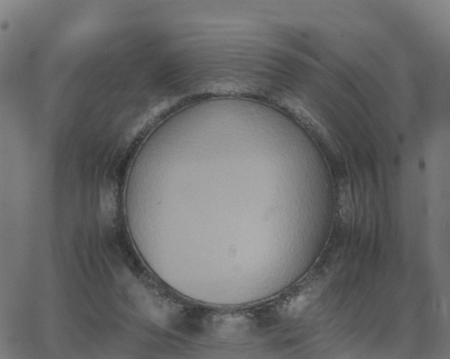 X0000062830208200601201621