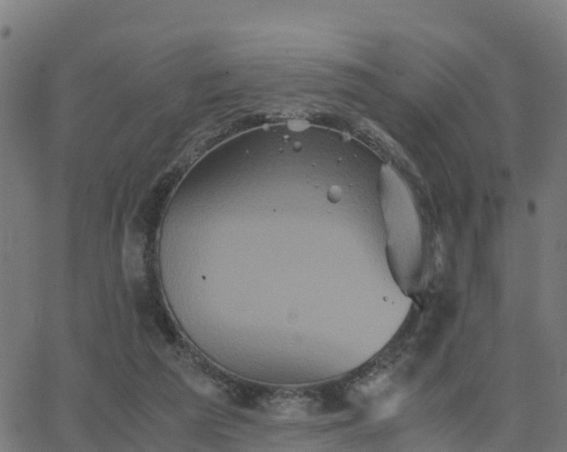 X0000062830209200601201621