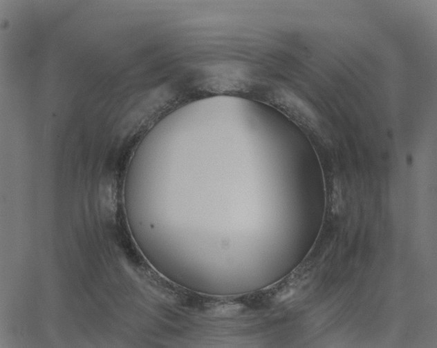 X0000062830210200601201621