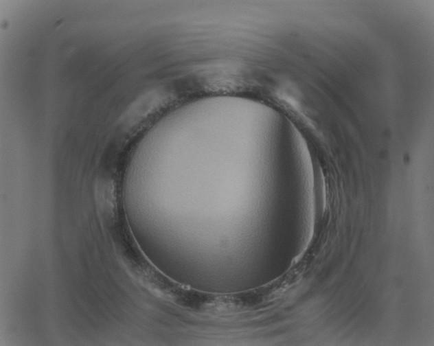 X0000062830211200601201621