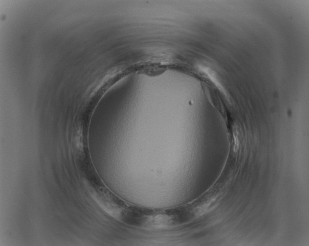 X0000062830212200601201621