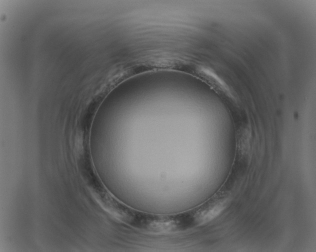 X0000062830213200601201621