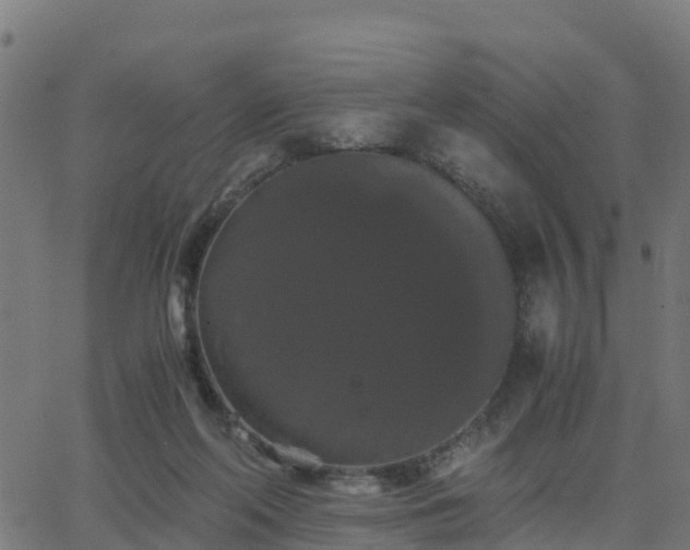 X0000062830214200601201621