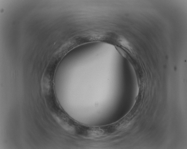 X0000062830215200601201621