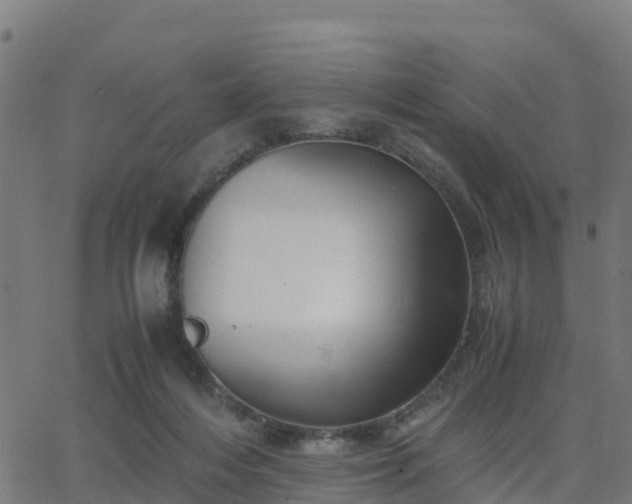 X0000062830216200601201621