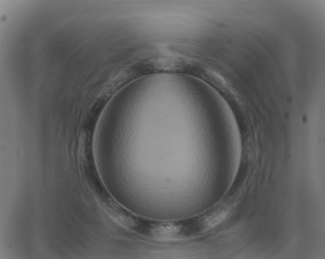 X0000062830217200601201621