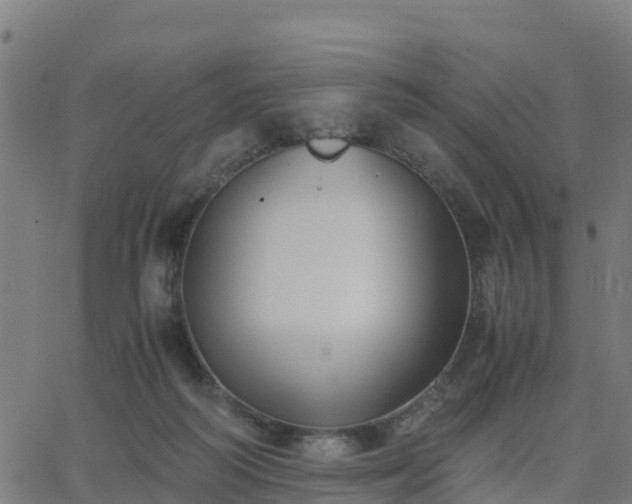 X0000062830218200601201621