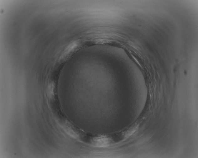 X0000062830219200601201621