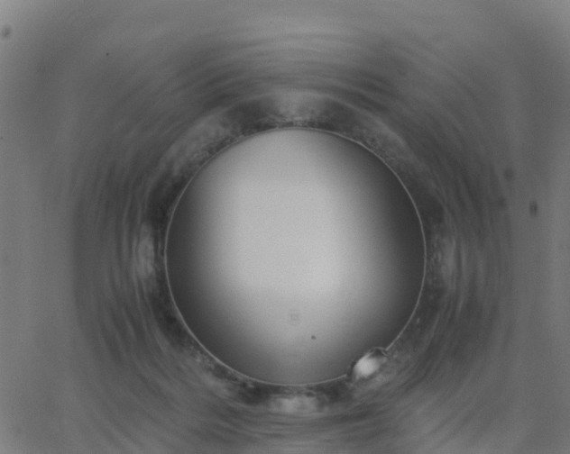 X0000062830220200601201621