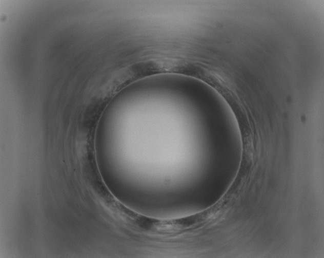 X0000062830221200601201621