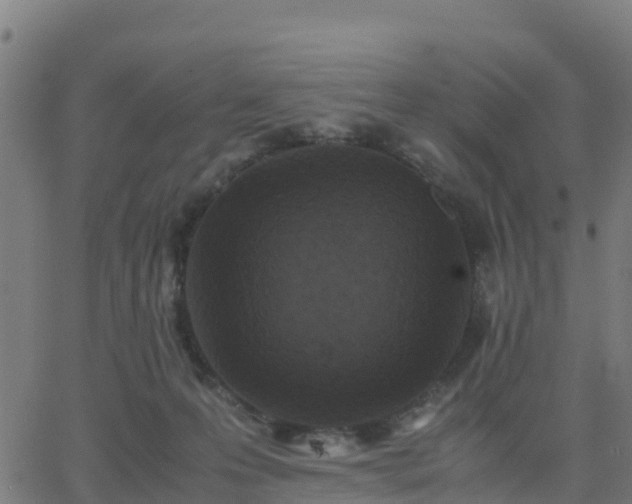 X0000062830223200601201621