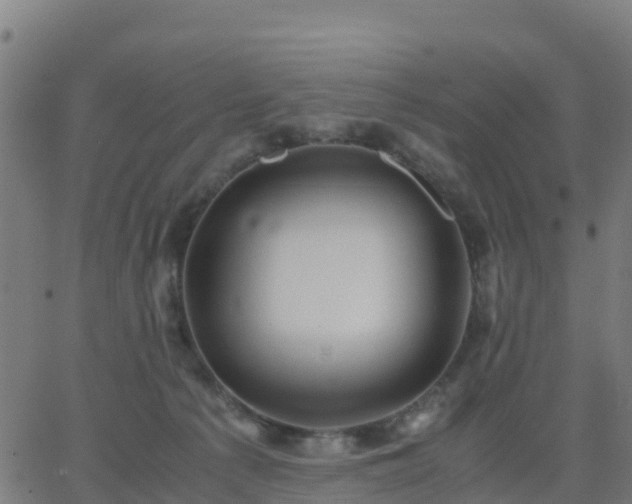 X0000062830225200601201621