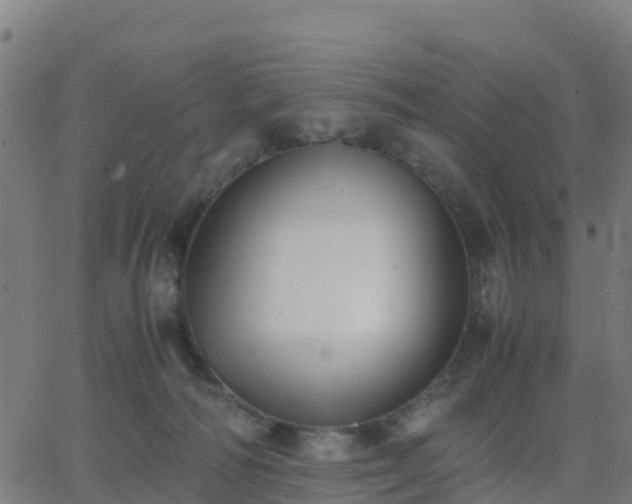 X0000062830226200601201621