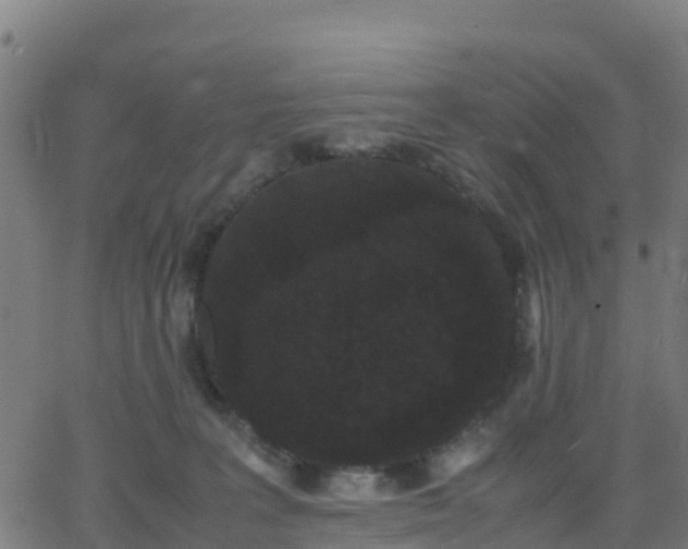 X0000062830227200601201621