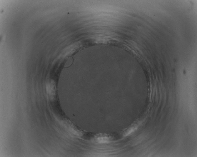 X0000062830228200601201621