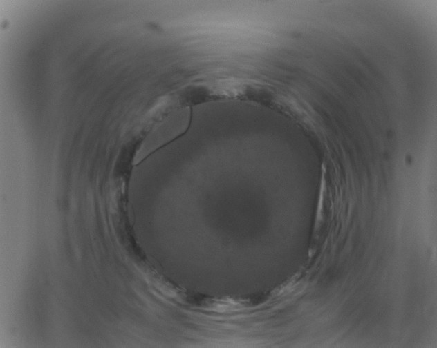 X0000062830229200601201621