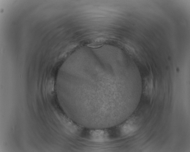 X0000062830230200601201621