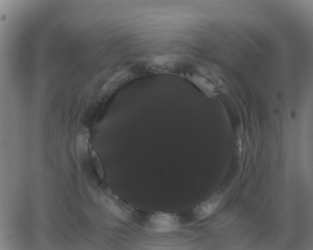 X0000062830231200601201621