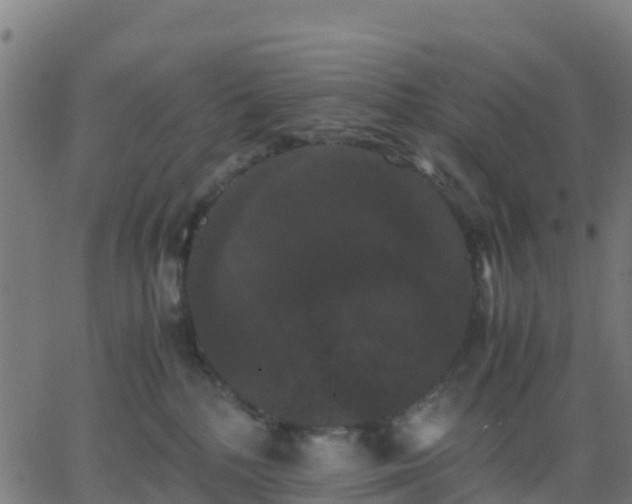 X0000062830232200601201621