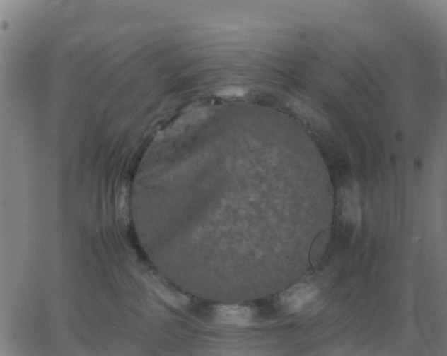 X0000062830234200601201620