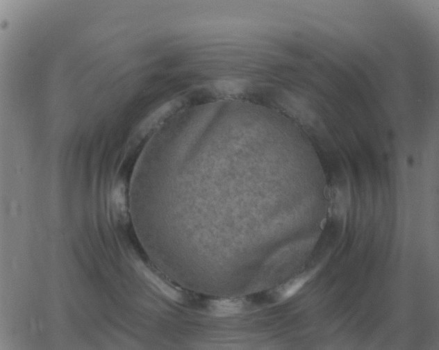 X0000062830238200601201620