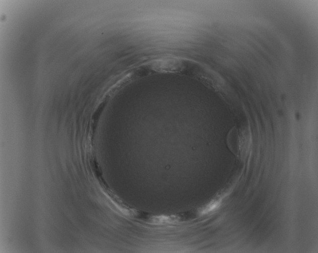 X0000062830239200601201620