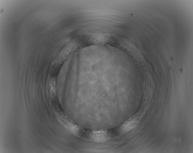 X0000062830240200601201620