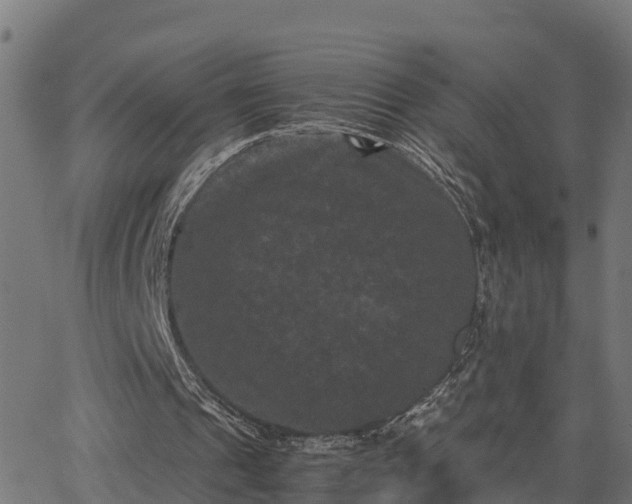 X0000062830241200601201620