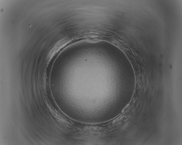 X0000062830242200601201620