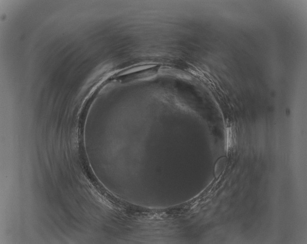 X0000062830243200601201620