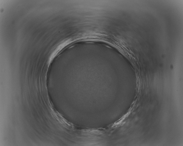 X0000062830244200601201620