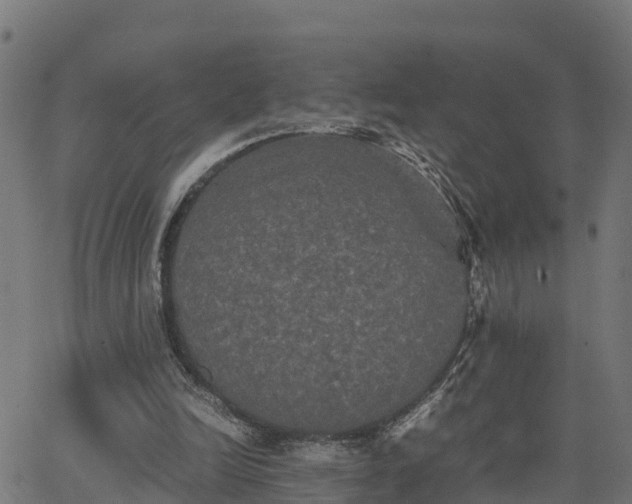 X0000062830246200601201620