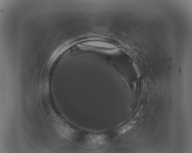 X0000062830247200601201620