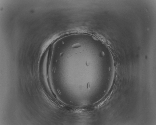 X0000062830248200601201620